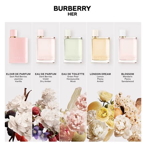 burberry her perfume kopen|burberry her vs elixir.